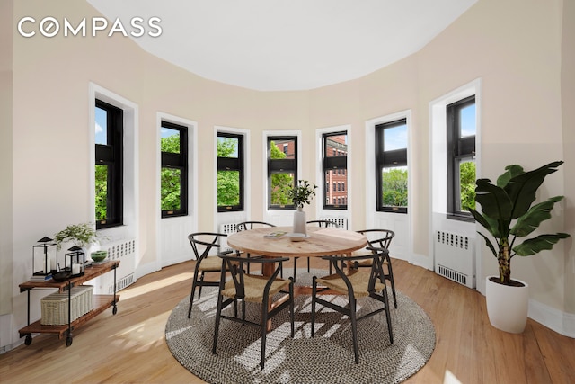336 Convent Avenue Mltfmly, New York City, NY 10031 - dining room featuring radiator heating unit and light wood finished floors