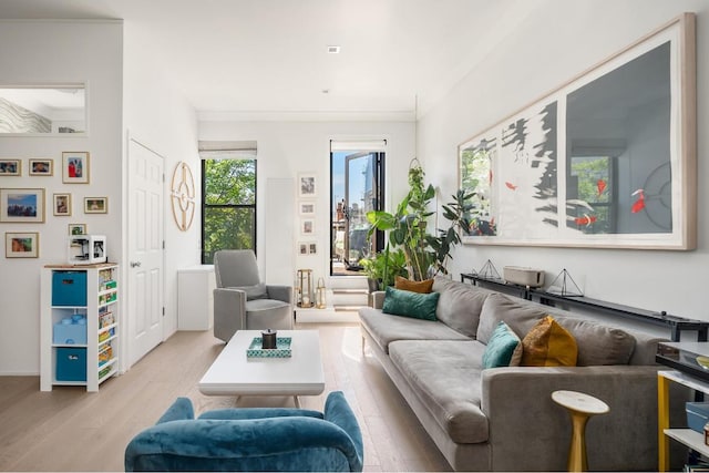 living room featuring light wood-type flooring