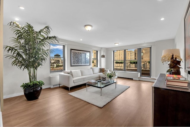 living room featuring hardwood / wood-style flooring