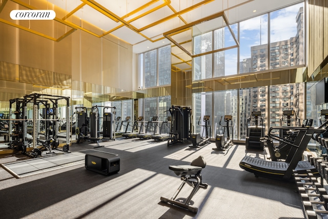 gym with carpet and a towering ceiling