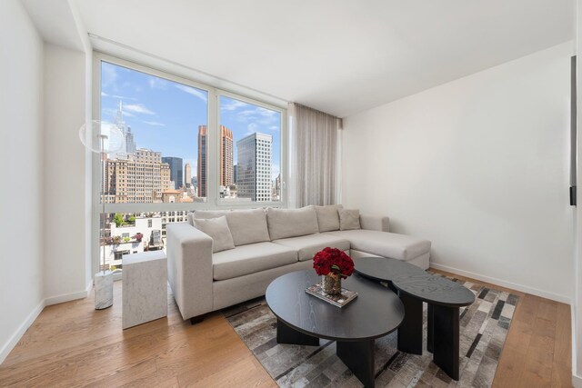 39 E 29th St Unit 25A, New York City, NY 10016 - living room featuring a view of skyline and wood finished floors