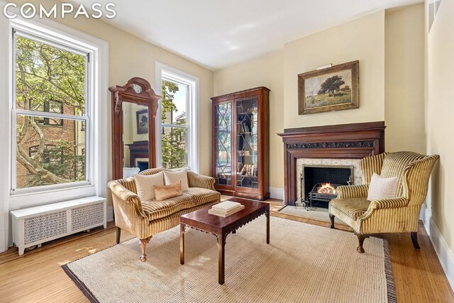 bedroom with radiator heating unit, multiple windows, and light hardwood / wood-style floors