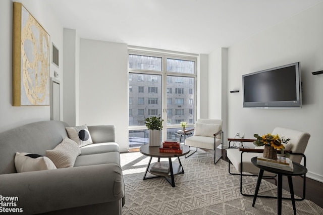 living room featuring expansive windows and light hardwood / wood-style flooring