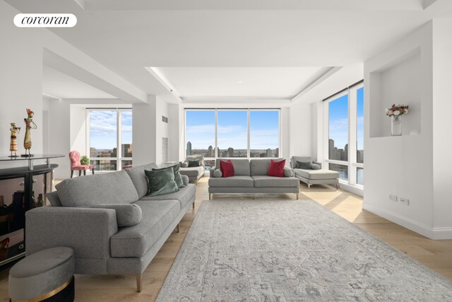 living room with a raised ceiling and light hardwood / wood-style floors