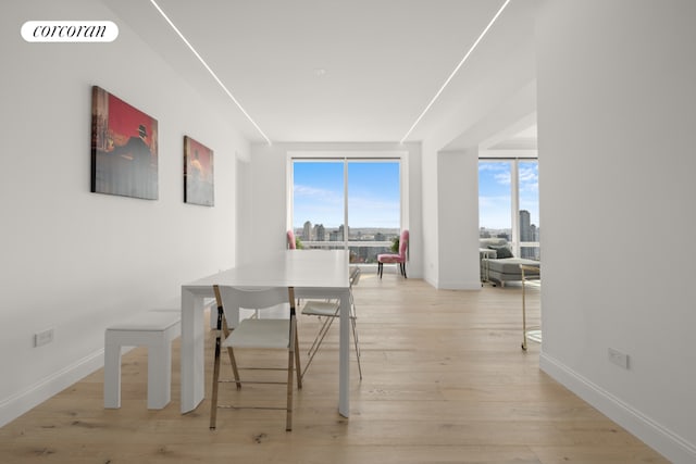 dining area with a wall of windows and light wood-type flooring