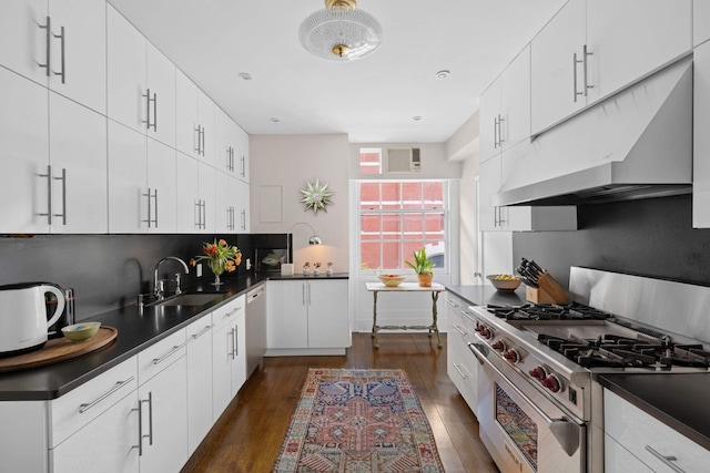 kitchen with stainless steel range, under cabinet range hood, a sink, dark countertops, and dishwashing machine