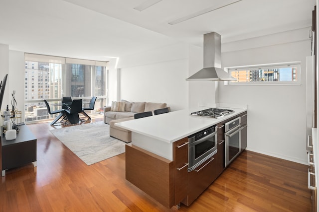 kitchen featuring island exhaust hood, appliances with stainless steel finishes, and light hardwood / wood-style floors