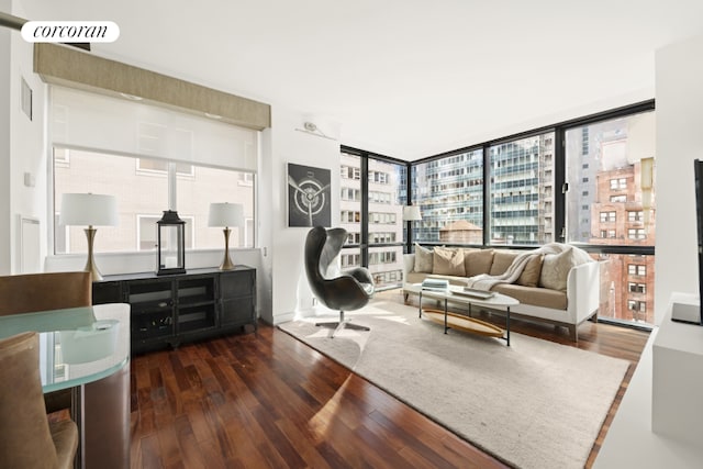 living room featuring dark hardwood / wood-style floors and expansive windows