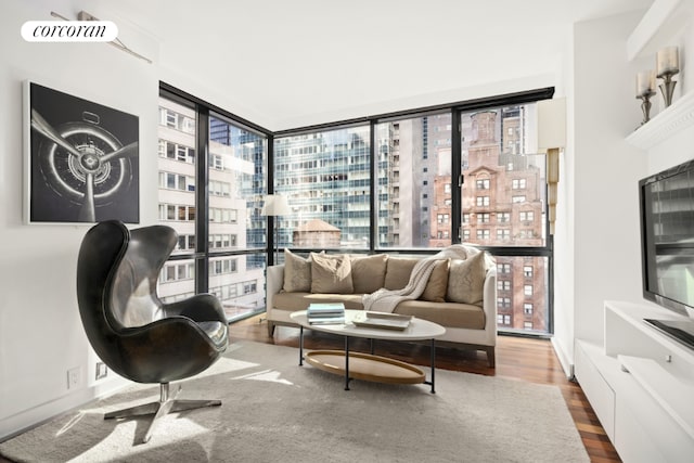 sitting room featuring expansive windows and wood-type flooring