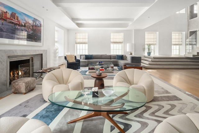 interior space featuring hardwood / wood-style flooring, a premium fireplace, and a tray ceiling