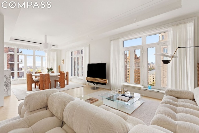 living room featuring a tray ceiling