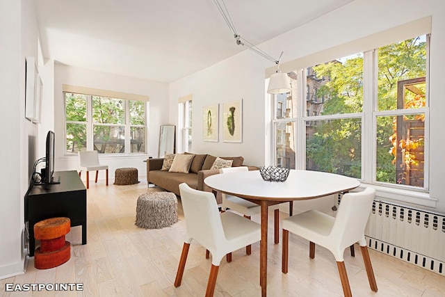 dining area with radiator, plenty of natural light, and light hardwood / wood-style flooring