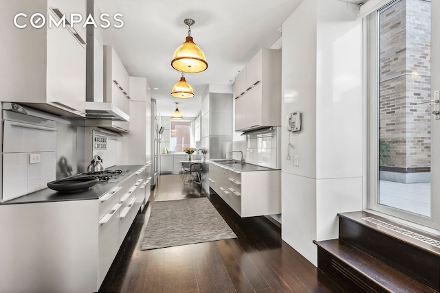 kitchen with white cabinetry, modern cabinets, and dark wood-style flooring