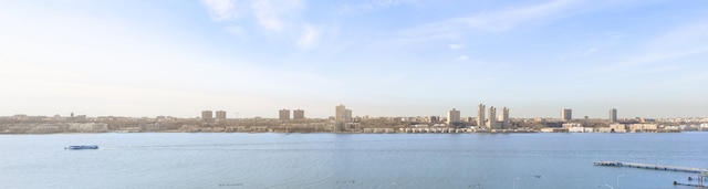 property view of water featuring a city view