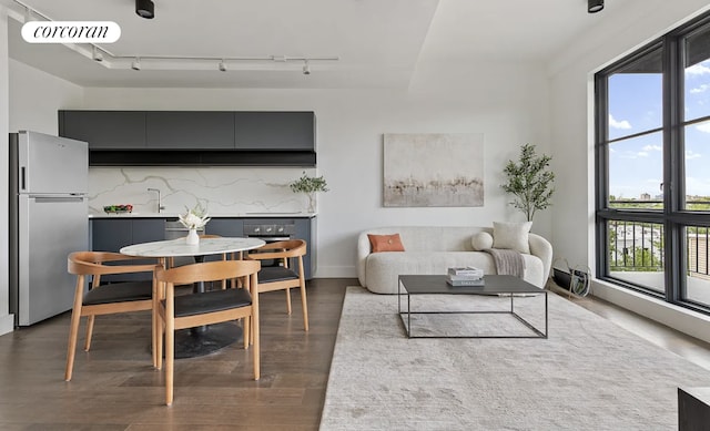 living room featuring a healthy amount of sunlight, dark hardwood / wood-style floors, and rail lighting