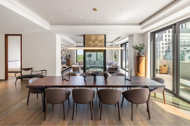 dining room featuring hardwood / wood-style floors, plenty of natural light, and a raised ceiling