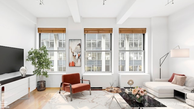 sitting room featuring beamed ceiling and a wealth of natural light