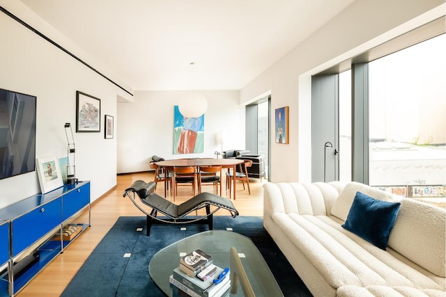 living room with light hardwood / wood-style flooring