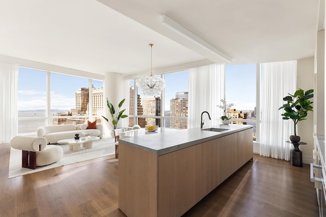 kitchen featuring dark wood finished floors, an island with sink, modern cabinets, open floor plan, and a sink