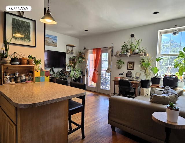563 20th St, New York City, NY 11218 - living room featuring wood finished floors, a desk, and french doors