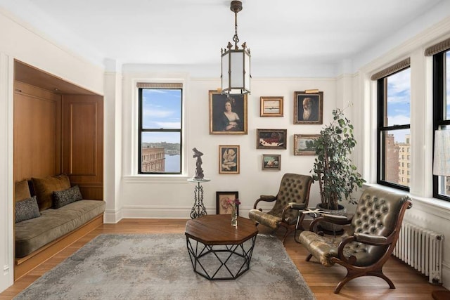 sitting room featuring radiator and hardwood / wood-style floors