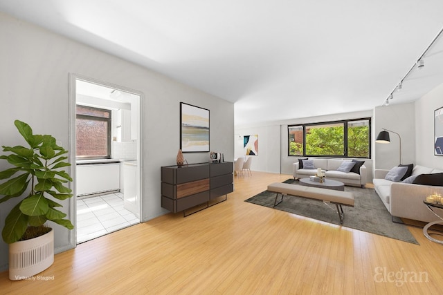 living room featuring track lighting and light hardwood / wood-style flooring