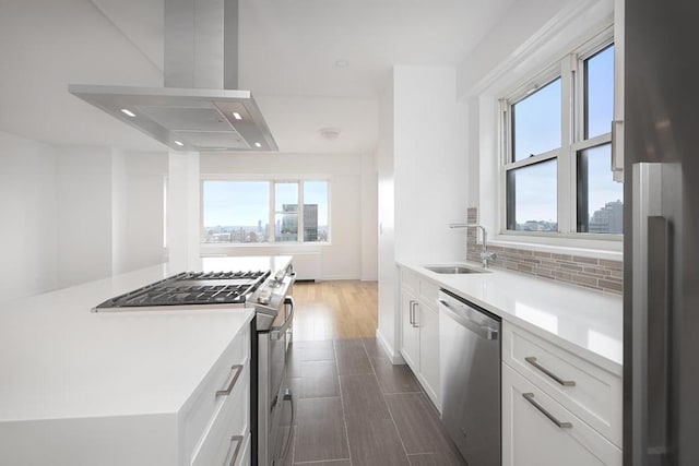 kitchen featuring exhaust hood, appliances with stainless steel finishes, a healthy amount of sunlight, white cabinets, and sink