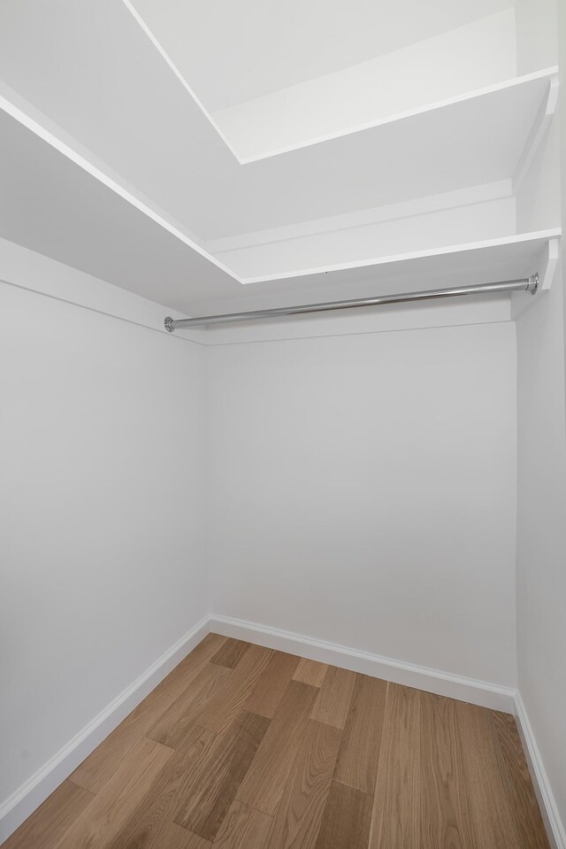 walk in closet featuring wood-type flooring