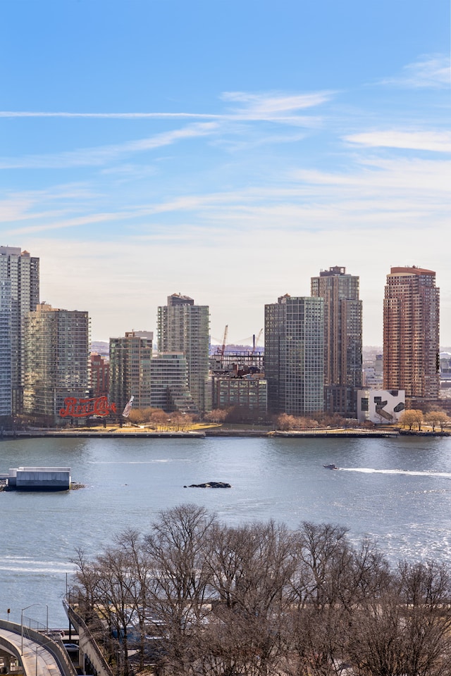 100 United Nations Plz Unit 20E, New York City, NY 10017 - water view featuring skyline