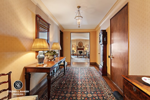 hallway featuring dark hardwood / wood-style floors and crown molding