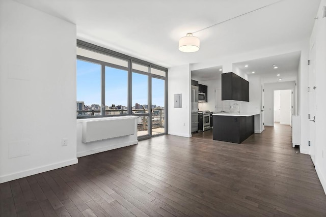 living room with a wall of windows, dark hardwood / wood-style floors, and sink