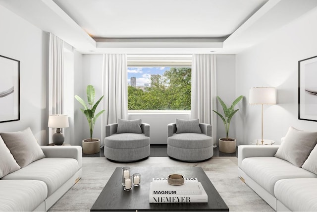 living room with a tray ceiling