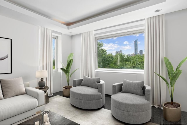 sitting room with a tray ceiling