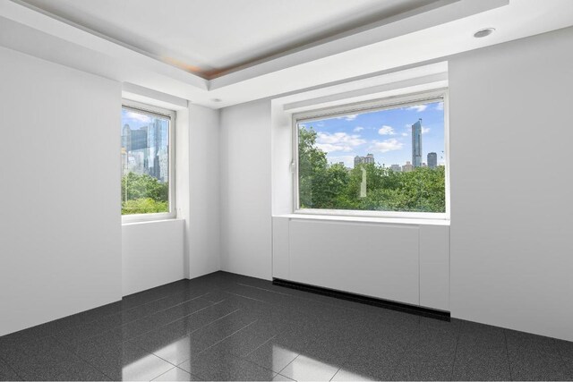 empty room with a raised ceiling and a wealth of natural light