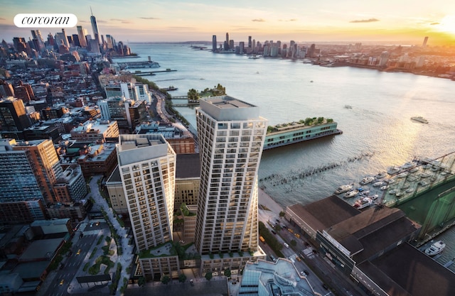 drone / aerial view featuring a water view and a city view