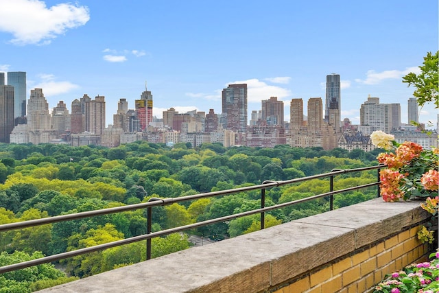 955 5th Ave Unit 2B, New York City, NY 10075 - balcony with a skyline view