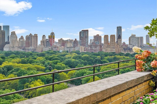 955 5th Ave Unit 2B, New York City, NY 10075 - balcony with a skyline view