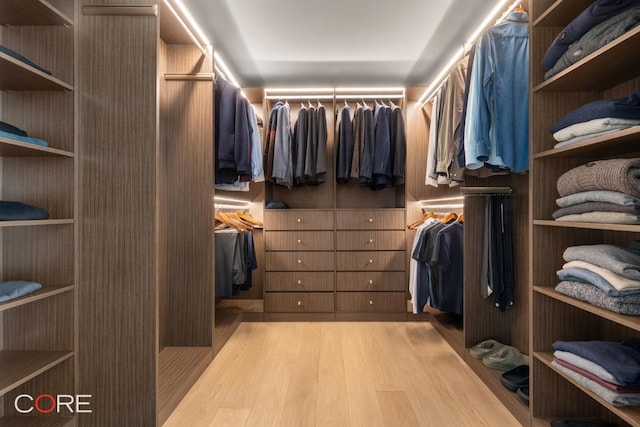 spacious closet featuring light hardwood / wood-style flooring