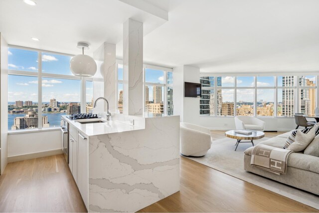 160 W 66th St Unit 29B, New York City NY, 10023, 1 bedrooms, 1.5 baths condo for sale