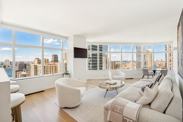 living room featuring a healthy amount of sunlight, baseboards, and wood finished floors