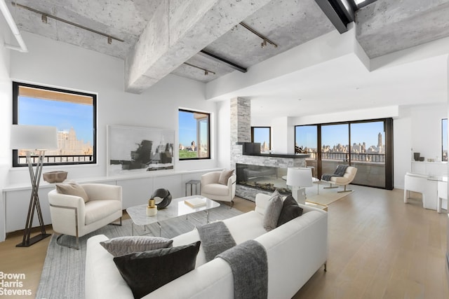 living room featuring plenty of natural light, light wood finished floors, and a fireplace