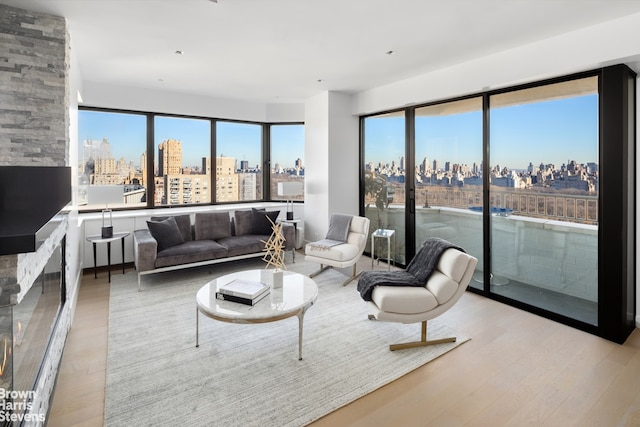 living room featuring light wood-type flooring, plenty of natural light, and a view of city