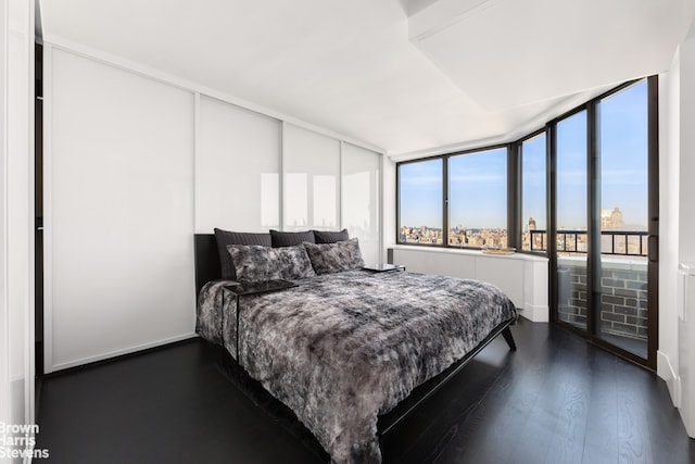 bedroom featuring dark wood finished floors