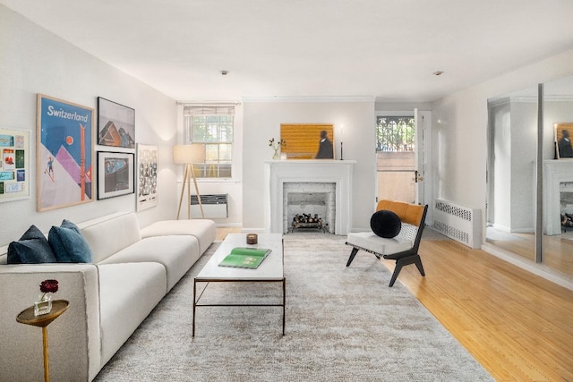 living room with hardwood / wood-style flooring, radiator, and a wealth of natural light