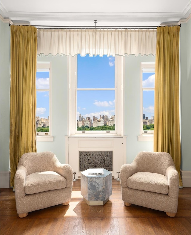 sitting room with a city view, ornamental molding, wood finished floors, and a wealth of natural light