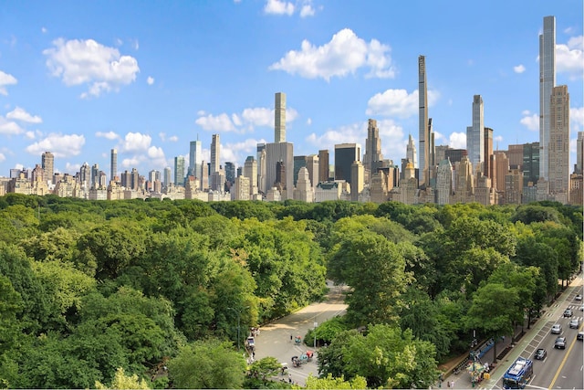 property's view of city