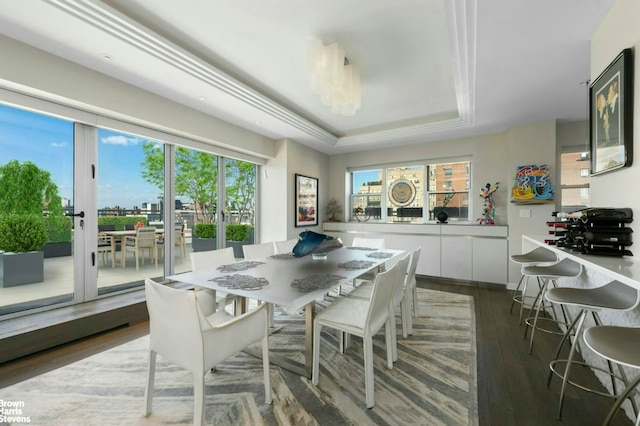 dining room featuring plenty of natural light, a raised ceiling, dark wood finished floors, and french doors