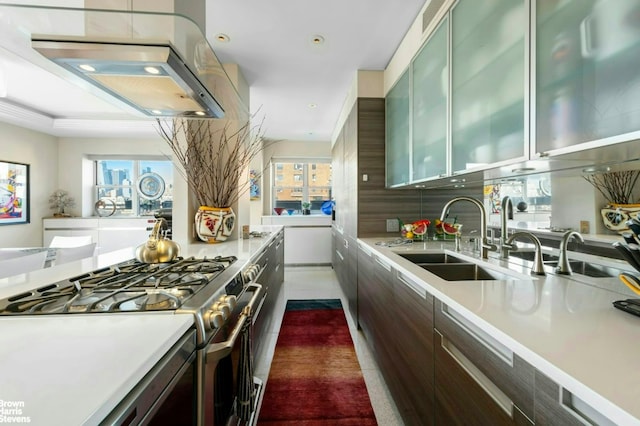 kitchen featuring a sink, a healthy amount of sunlight, light countertops, gas stove, and glass insert cabinets