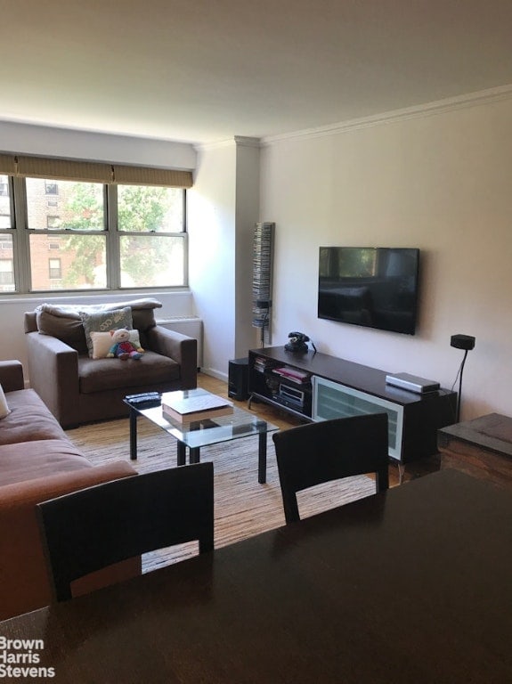 living room featuring ornamental molding