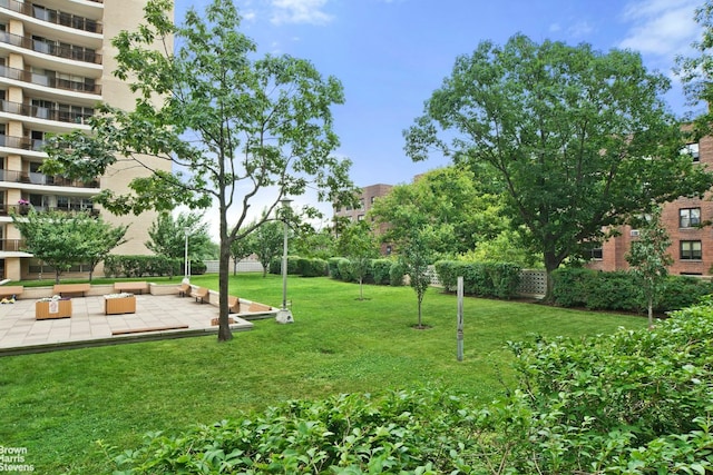 view of yard with a patio area